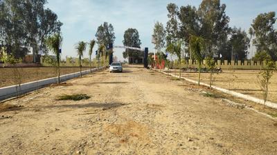 Project Image of 900.0 - 2700.0 Sq.ft Residential Plot Plot for buy in Jewar Royal City