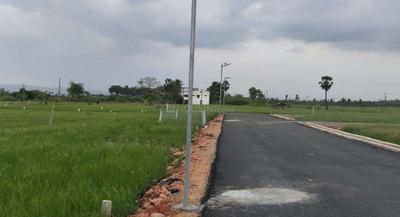 Project Images