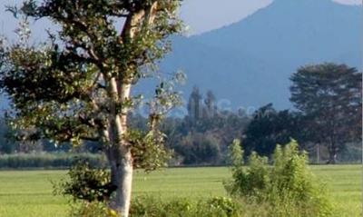 Samatha Group Paradise Elevation 1