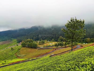 Project Image of 1000.0 - 15260.0 Sq.ft Residential Plot Plot for buy in Lushbergs