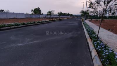 Project Images