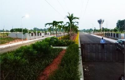 Project Image of 1332.36 - 2588.18 Sq.ft Residential Plot Plot for buy in Sterling Aster Meadows