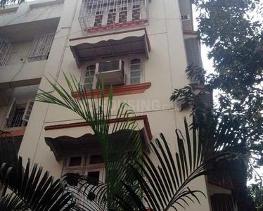 MS Foundation Casa Feliz Elevation 1