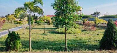 Project Image of 1620.0 - 3600.0 Sq.ft Residential Plot Plot for buy in SRR RRR 9
