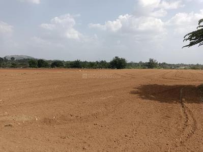 Plotwale Panvel Plot 1