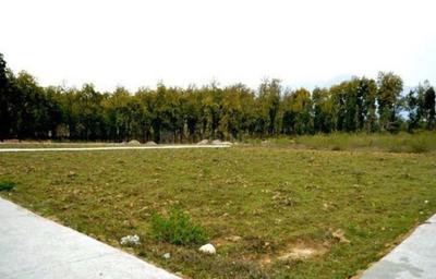 Project Image of 899.97 - 2700.02 Sq.ft Residential Plot Plot for buy in Mountain View City
