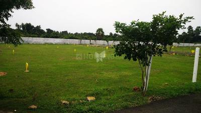 Project Image of 998.0 - 2400.0 Sq.ft Residential Plot Plot for buy in Accord Tejas Enclave