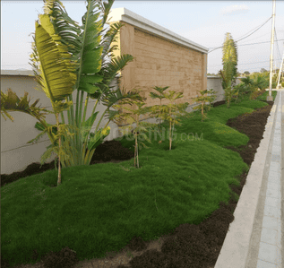 Project Image of 350.0 - 1100.0 Sq.ft Residential Plot Plot for buy in Kalyan Phase II