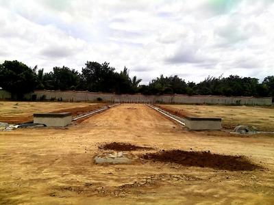 Project Image of 1200.0 - 2000.0 Sq.ft Residential Plot Plot for buy in S And S Sree Sai Aero City