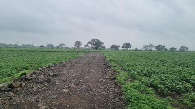Project Image of 387.5 - 944.75 Sq.ft Residential Plot Plot for buy in Arihant Natures Home