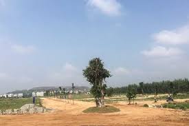 Project Image of 0.0 - 1800.0 Sq.ft Residential Plot Plot for buy in Pooja Sindhuvanam