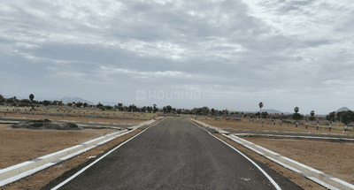 Project Images