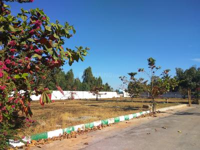 Project Image of 981.99 - 3028.96 Sq.ft Residential Plot Plot for buy in JBS Celesta