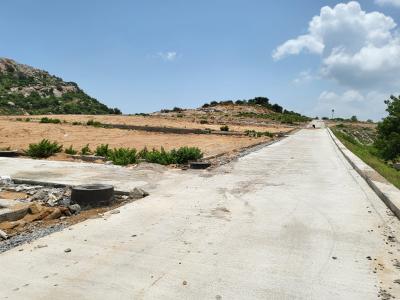 Project Image of 1413.0 - 4050.0 Sq.ft Residential Plot Plot for buy in Hill County