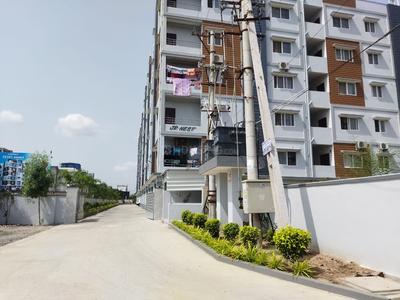 SR JR Nest Elevation 1