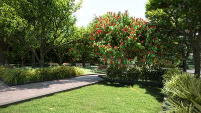 PROMISE OF SPRING Amenities 2