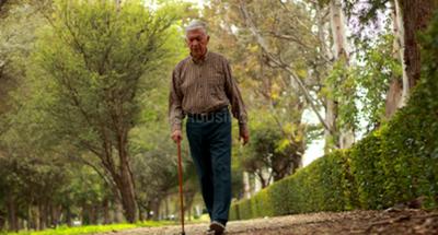 Shriram Chirping Ridge Others 1