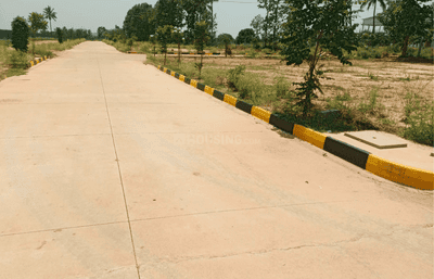 Residential Lands for Sale in TBC Grand Lapalacio