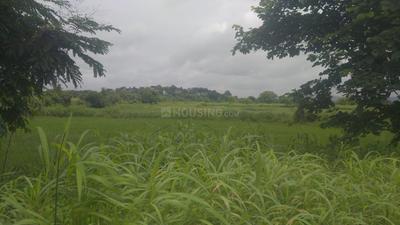 Project Image of 1000.0 - 10000.0 Sq.ft Residential Plot Plot for buy in Towncity Plots in Karjat