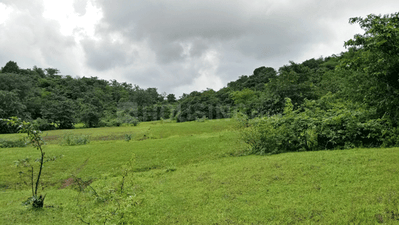 Project Image of 1000.0 - 3000.0 Sq.ft Residential Plot Plot for buy in Bhoomi Plots In Pali