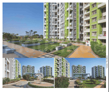 Project Image of 560 Sq.ft 1 BHK Apartment / Flat for sale in Moshi for Rs. 3800000