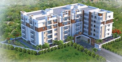 Sunshine Tansy Images for Elevation of Sunshine Tansy 1