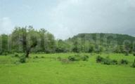Project Image of 807.0 - 2000.0 Sq.ft Residential Plot Plot for buy in VMC Vihang City
