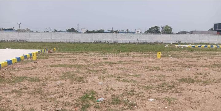 Gallery Cover Pic of White City Phase II