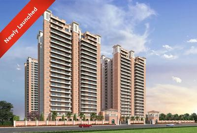 The Sephyra Elevation 1