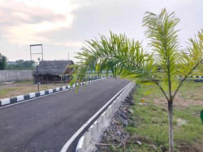 Project Image of 700.0 - 1695.0 Sq.ft Residential Plot Plot for buy in Sri Kalyan Avenue