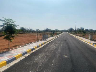 Rainbow County Plot 2
