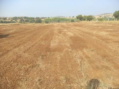 Project Image of 1485.0 - 1818.0 Sq.ft Residential Plot Plot for buy in Budera Bliss