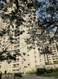 Gallery Cover Pic of Lodha Codename 520D