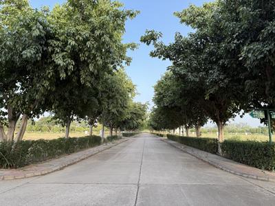 Project Image of 100 Sq.ft Residential Plot / Land for sale in Patan Kalan for Rs. 1400000