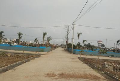Project Images