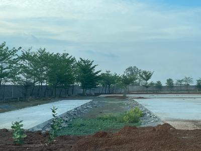 Project Image of 590.4 - 6335.96 Sq.ft Residential Plot Plot for buy in Aranya City Of Woodland Pacheda
