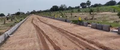 Project Image of 1800.0 - 3267.0 Sq.ft Residential Plot Plot for buy in Yadadri Sunrise County
