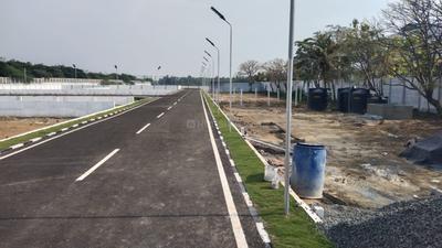 Palm Valley Plot 1