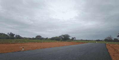 Project Images