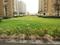 Aims Golf Avenue Phase 1 Landscaped Gardens 2