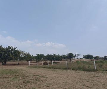 Project Image of 3595.15 - 48599.06 Sq.ft Residential Plot Plot for buy in Ridge Kshetra
