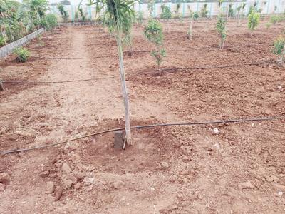 Project Image of 1300.0 - 2500.0 Sq.ft Agricultural Land Agricultural Land for buy in Green Nature Farms