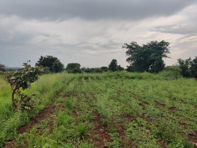 Project Image of 2700.0 - 10800.0 Sq.ft Residential Plot Plot for buy in Creos The Roots