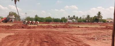 Project Images
