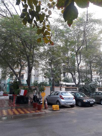 Gallery Cover Pic of Stellar Kings Court