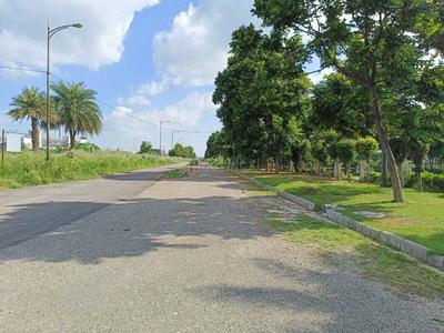Project Image of 900.0 - 9000.0 Sq.ft Residential Plot Plot for buy in AMG Palm Garden