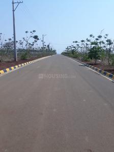 Project Image of 2403.0 - 9000.0 Sq.ft Residential Plot Plot for buy in IB Vana Bhoomi