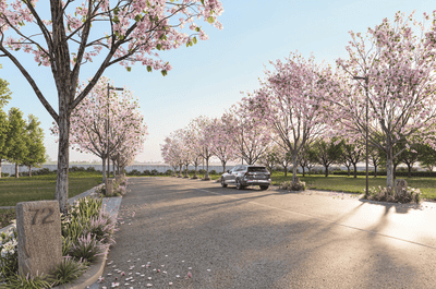 Project Image of 1500.0 - 4000.0 Sq.ft Residential Plot Plot for buy in IVY County
