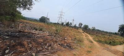 Project Image of 1162.5 - 1926.74 Sq.ft Residential Plot Plot for buy in Concorde Opus II