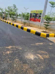 Project Image of 1350.0 - 3456.0 Sq.ft Residential Plot Plot for buy in Asset Pri Ravis Dharitri